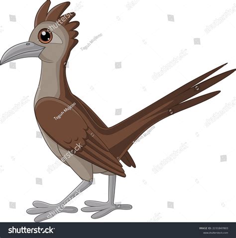 228 Roadrunner Cartoon Images Stock Photos And Vectors Shutterstock