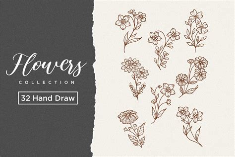 Hand Drawn Flowers Svg Azirskin Hand Drawn Flowers Png Hand Drawn