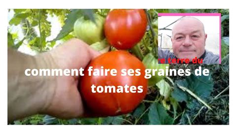 Comment faire ses graines de tomates réponse à une question YouTube