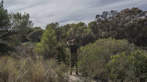 Detenido El Presunto Autor De Los Incendios En El Parque Natural De El