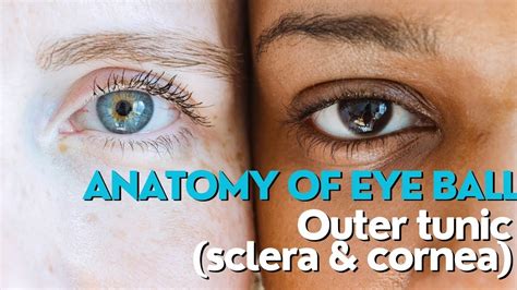 Anatomy Of Eyeball Intro Outer Tunic Sclera And Cornea Briefly Explained Youtube