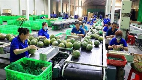 New Record Set In Fruit Vegetable Exports