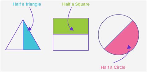 What is Halves? - Definition, Facts & Example