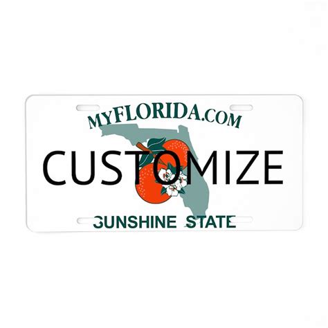 Florida Custom Aluminum License Plate by stargazerdesign