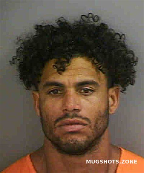 Ninodiaz Sandy 08 15 2023 Collier County Mugshots Zone