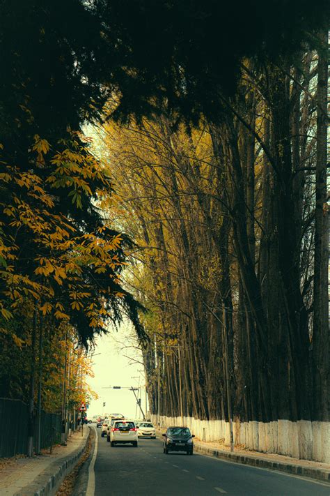 Fb+Hd Photos, Download The BEST Free Fb+Hd Stock Photos & HD Images