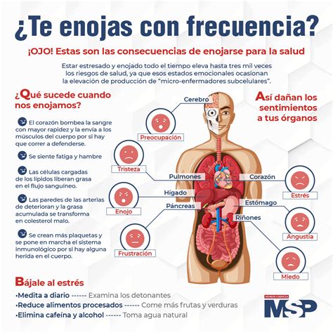 Te Enojas Con Frecuencia Infograf A