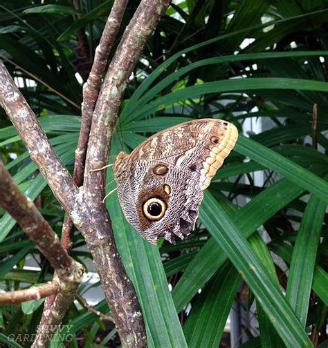 SG travels: Fairchild Tropical Botanic Garden in Florida