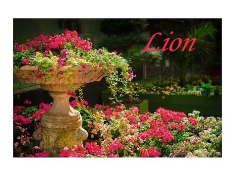 Horoscope Lion Semaine Du Mars Excellente Semaine Ne Loupez