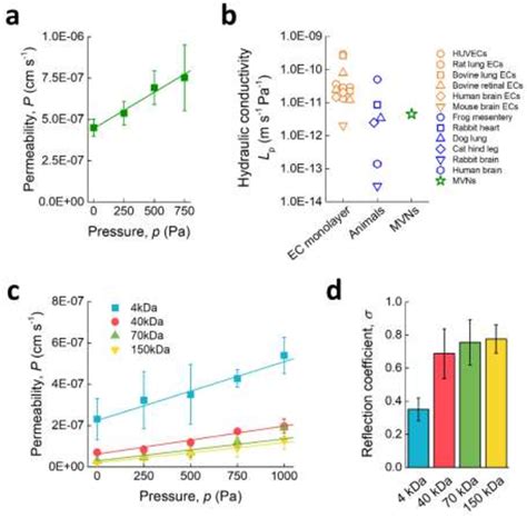 Figure 2 From Application Of Transmural Flow Across In Vitro