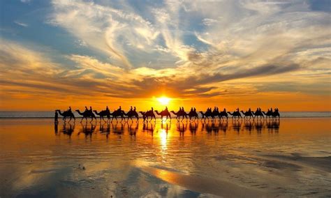 Cable Beach Sunset Camel Ride | Experience Oz