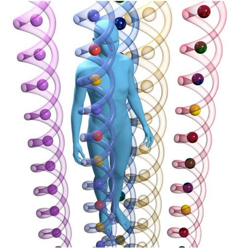 Understanding Genetic Complexity Active Your Happy Genes