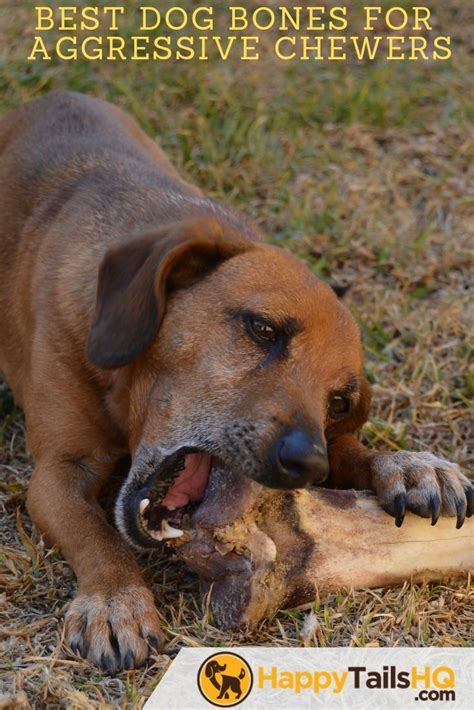 Dog Chew Toys For Aggressive Chewers Dog Bones Aggressive Dog Best