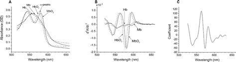 Spectra Of Myoglobin And Hemoglobin In The Visible Wavelength Range