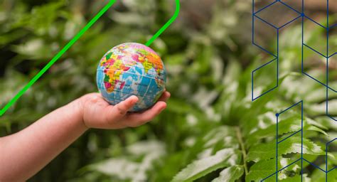 Sustentabilidade no agronegócio: Práticas para preservar recursos ...