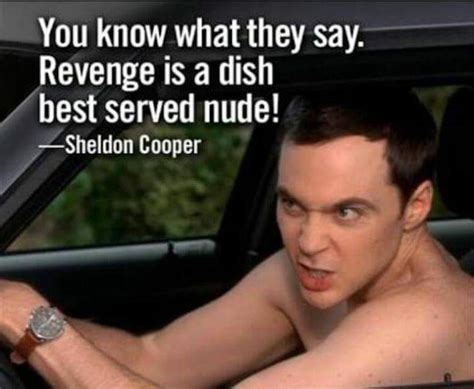 Funny Sheldon Cooper Quotes From The Big Bang Theory Dainty Angel