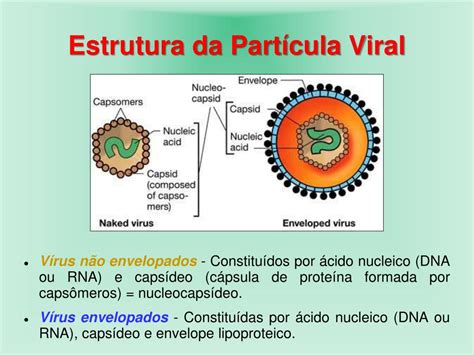 O Que São Vírus Envelopados