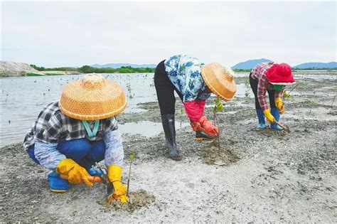 “六水共治”攻坚战｜陵水：做好“水文章” 注入源动力澎湃号·政务澎湃新闻 The Paper