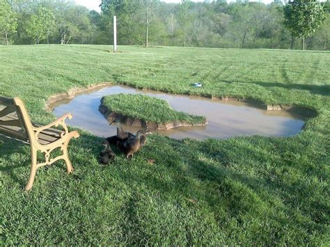 25+ Awesome DIY Backyard Duck Pond Ideas & Designs For 2024 | Backyard ...