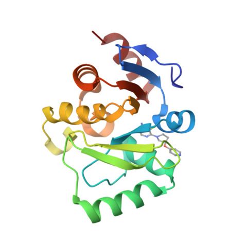 Rcsb Pdb Sok Pandda Analysis Group Deposition Crystal Structure