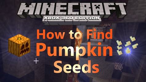 how to grow pumpkin seeds in minecraft