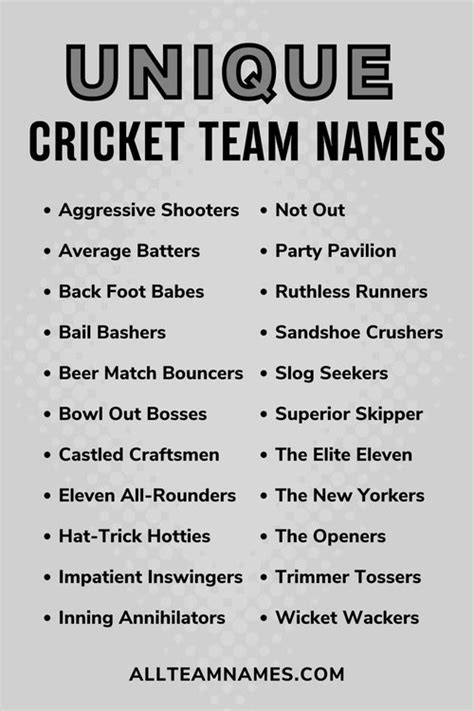 60 Unique Cricket Team Names For Winners