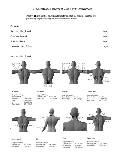 Tens Electrode Placement Chart Pdf Instapdf