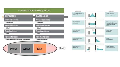 Auscultaci N Cardiaca Estenosis E Insuficiencia Pptx