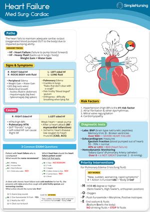 Pulmonary Embolism Systems Disorder Template ACTIVE LEARNING