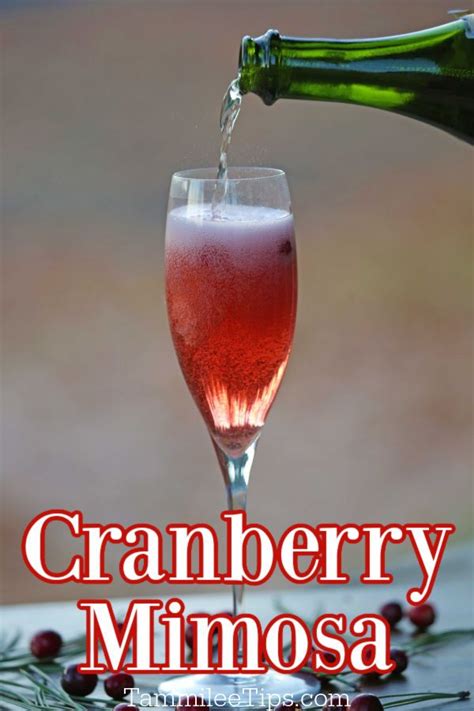 Easy Cranberry Mimosa Recipe Is The Perfect Holiday Cocktail So Easy To Make With A Couple