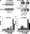 Role Of The Enth Domain In Phosphatidylinositol Bisphosphate