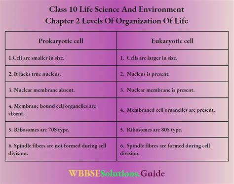 WBBSE Solutions For Class 10 Life Science Chapter 2 Levels Of