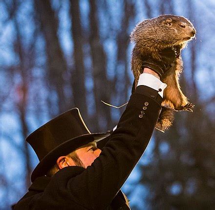 Punxsutawney Phil – Wikipedie