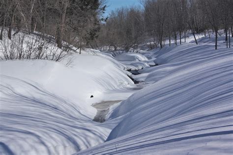 Winter Nature Forest - Free photo on Pixabay - Pixabay