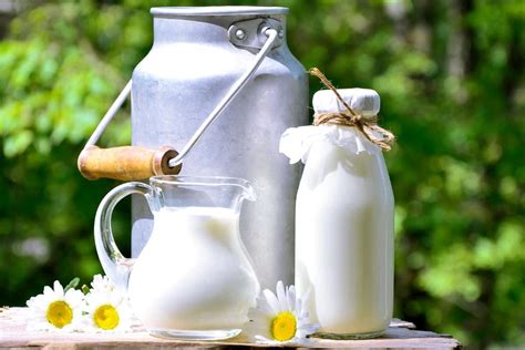 How Long Can Milk Sit Out The Ultimate Guide To Milk Food Champs