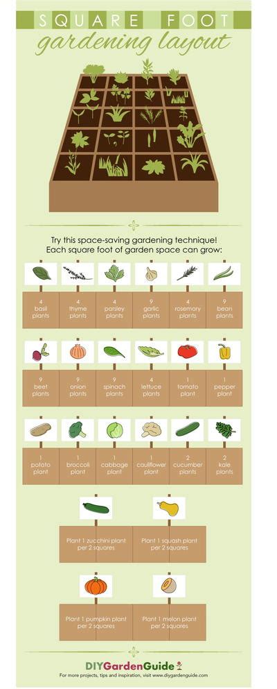 Square Foot Gardening Companion Planting Chart | Fasci Garden