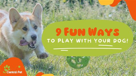 9 Fun Ways To Play With Your Dog