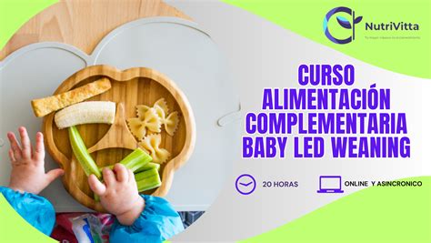 Curso Alimentaci N Complementaria Baby Led Weaning Cursos Online De