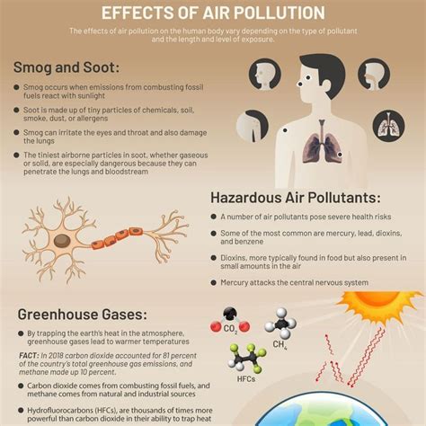 Air Pollution Everything You Need To Know Air Pollution Pollution Health Risks