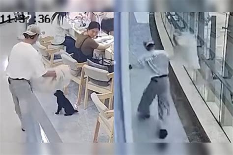 小狗进美发店后女店员想吃狗肉男店员将其摔死，公司创始人：开除永不录用