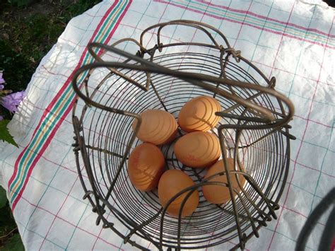 Panier à oeuf fil de fer panier à salade ustensile de cuisine decor