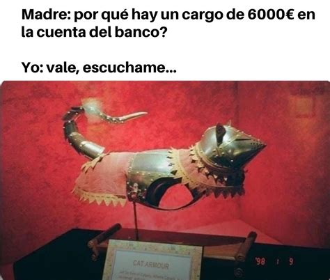 El Gato Necesitaba Una Armadura Meme Subido Por Nari Memedroid