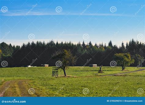 Meadow With Hiking Trail In Rhineland Palatinate View Over Field With