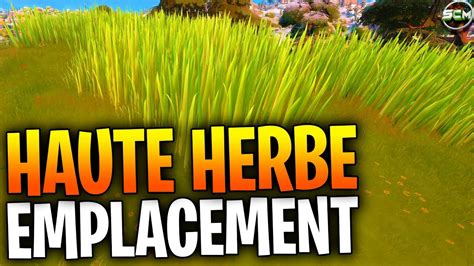 SE CACHER DANS DES HAUTES HERBES PENDANT 10 S FORTNITE EMPLACEMENT