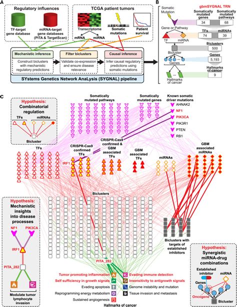 Causal Mechanistic Regulatory Network For Glioblastoma Deciphered Using