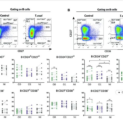 Phenotypic Distribution Based On CD24 And CD38 Expression Of Isolated