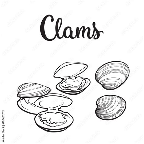 Vektorov Grafika Clams Mussels Seafood Sketch Style Vector