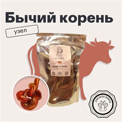 Бычий корень узел, 1 шт, 160-180 г - купить с доставкой по выгодным ...