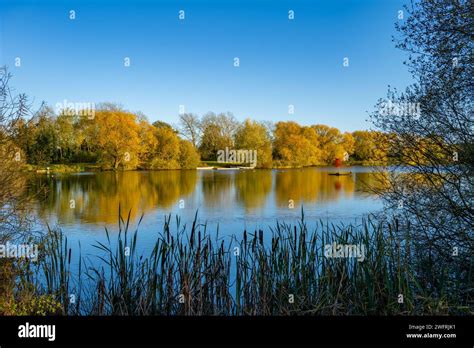 Chigborough Lakes Nature Reserve And Fishing Ponds Near Heybridge Basin