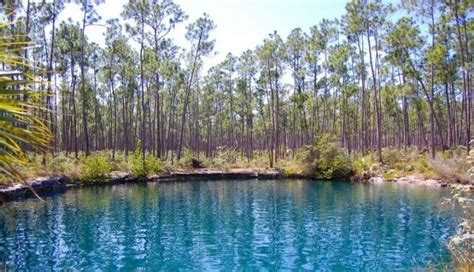 Sawmill Sink Blue Hole, Central Abaco